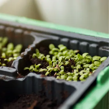 consumer goods tray image 01